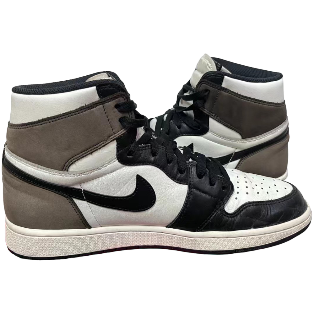 PhotoRoom_005_20230809_154127 PhotoRoom_005_20230809_154127