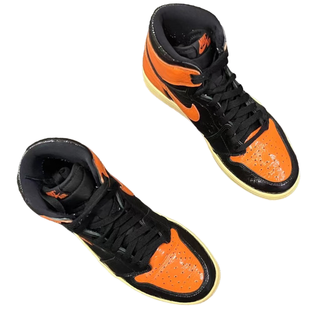 PhotoRoom_015_20230809_155332