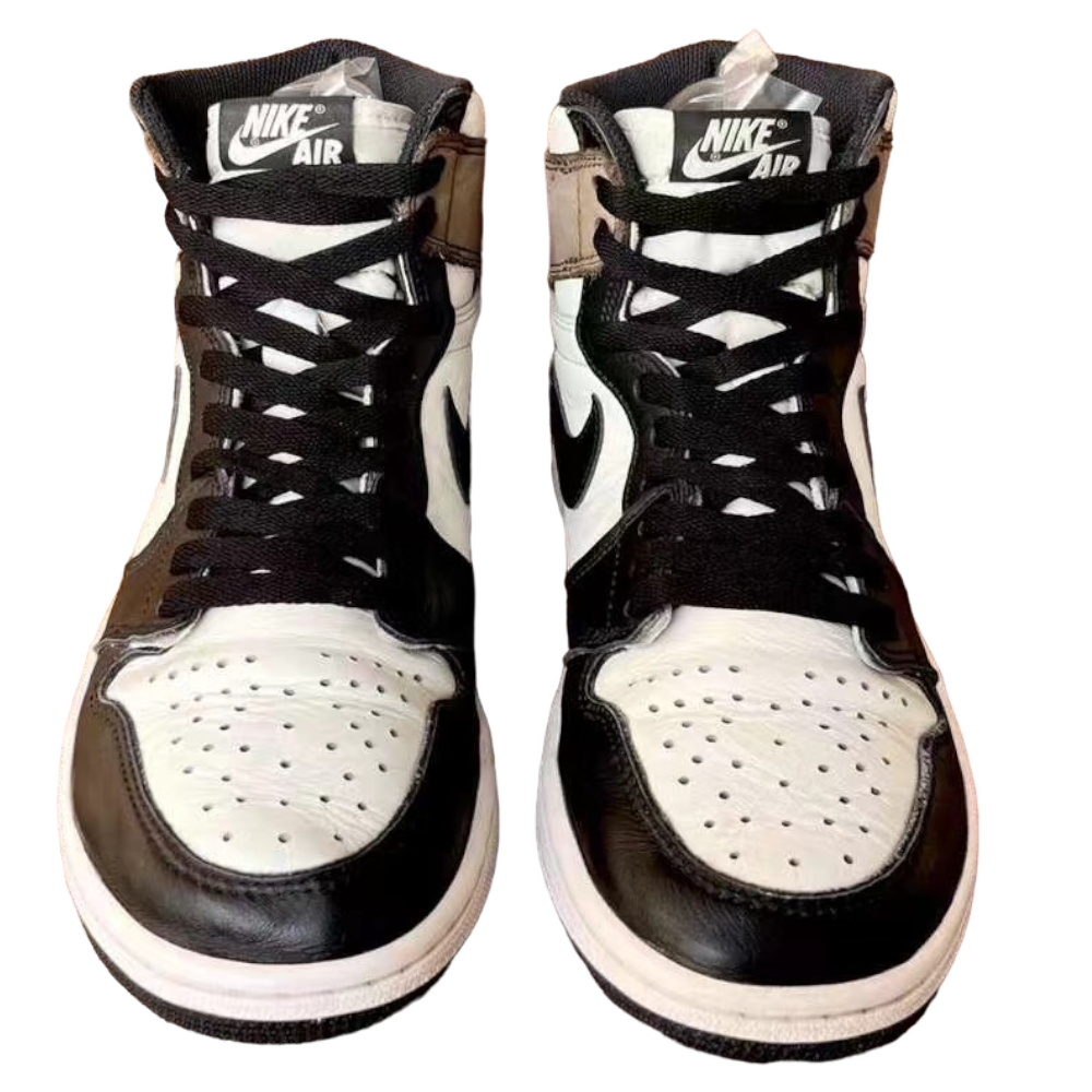 PhotoRoom_024_20230809_152046 PhotoRoom_024_20230809_152046